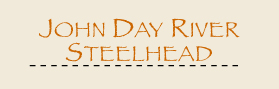 John Day Guided fly fishing trips for Steelhead on Oregon rivers.