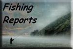 View our Fishing Reports